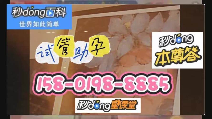 广州三代供卵试管代怀,新生命的传承