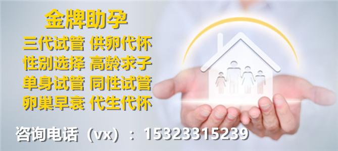 广州三代供卵试管产子,助力家庭实现生育梦想
